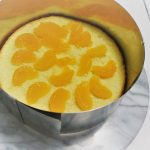 Käsesahne Springform mit Mandarinchen