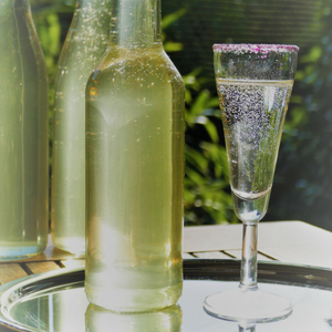Holunderblüten Sirup